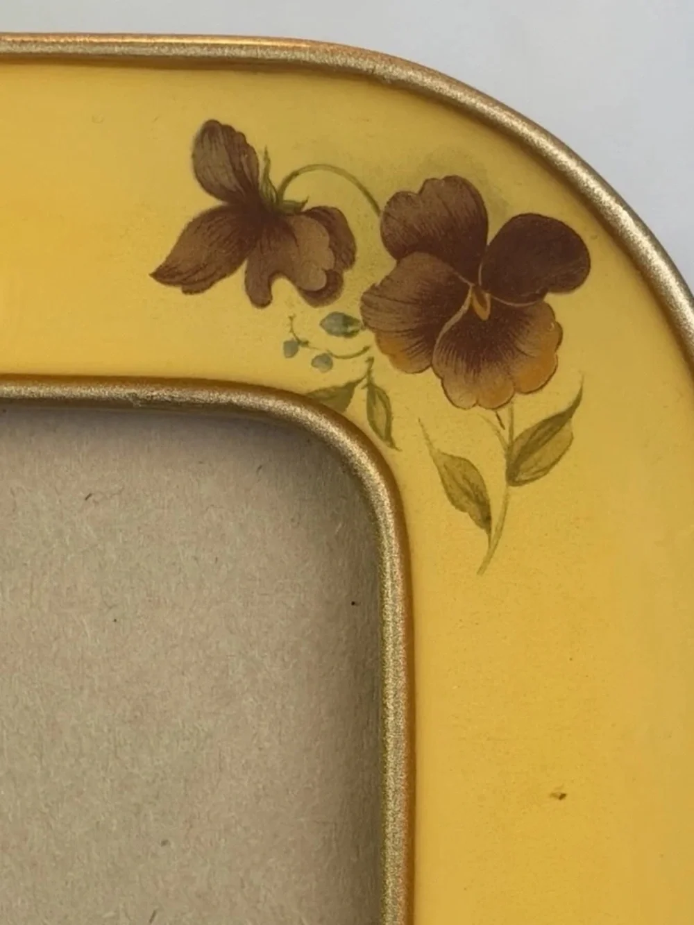 Bucklers charming yellow